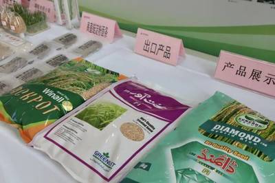 张琴:种业竞争将越来越激烈 | 种业·瞭望