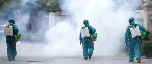 楼市瞭望