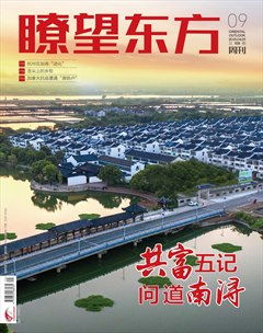 瞭望东方周刊 2021年9月刊综述